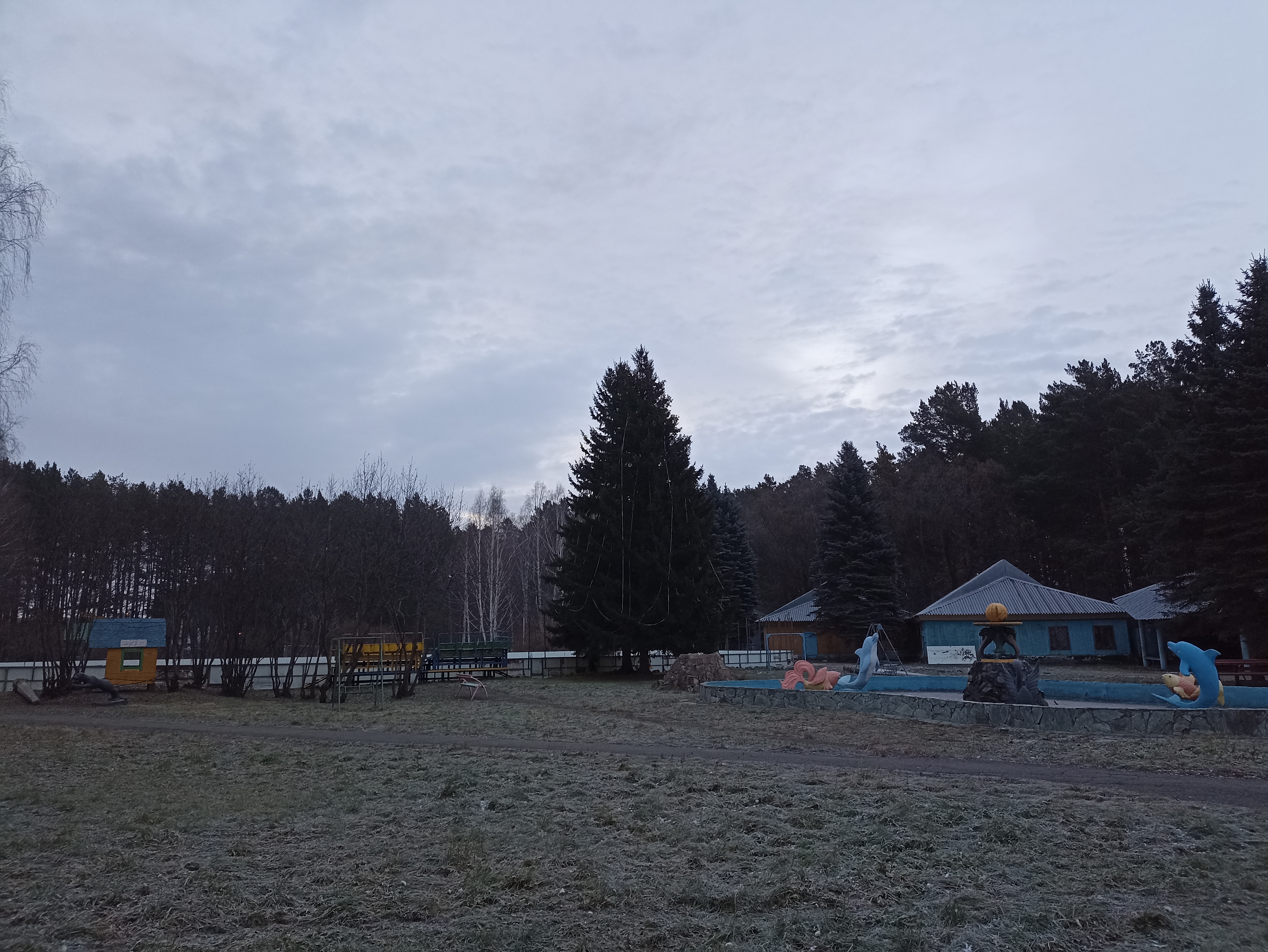 Фото Лесная сказка