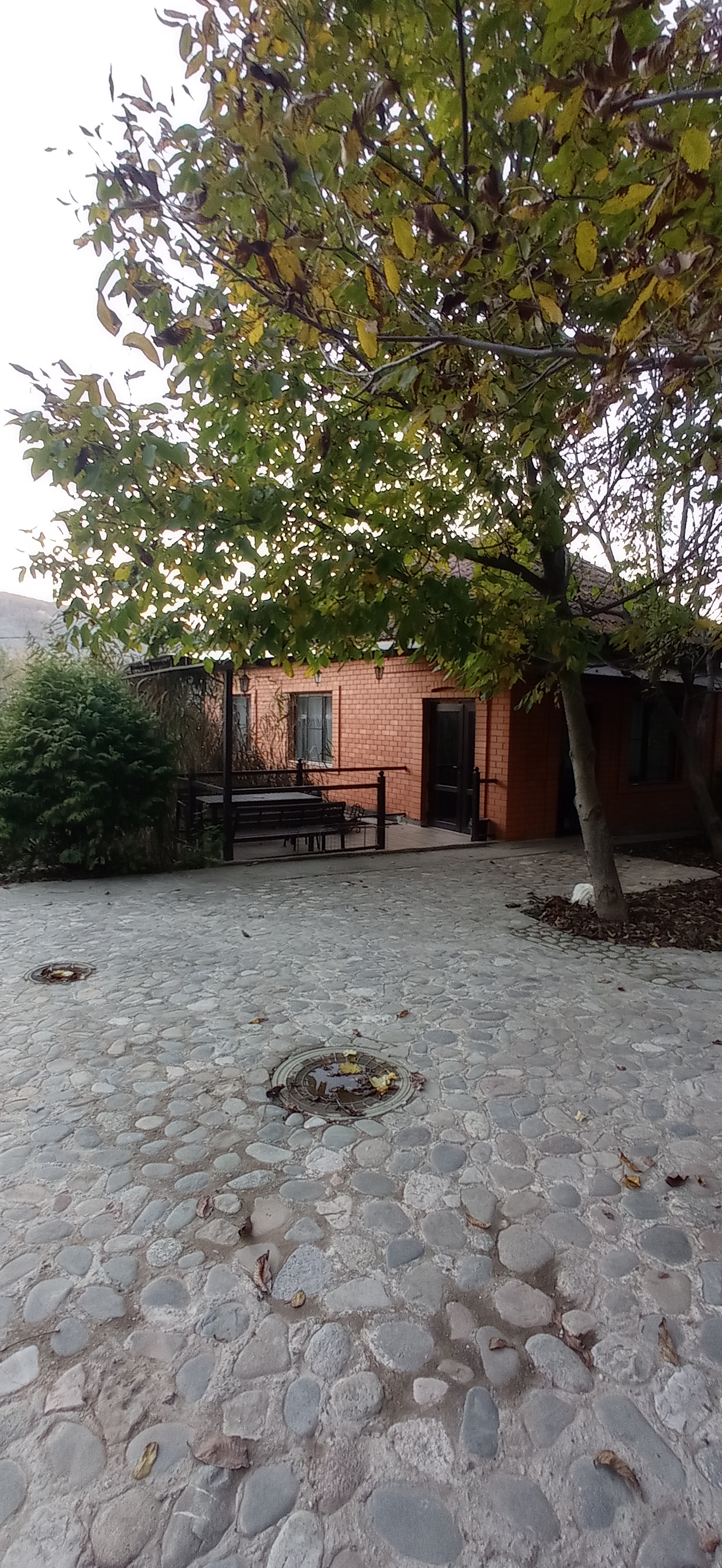 Фото Эдельвейс Ретро