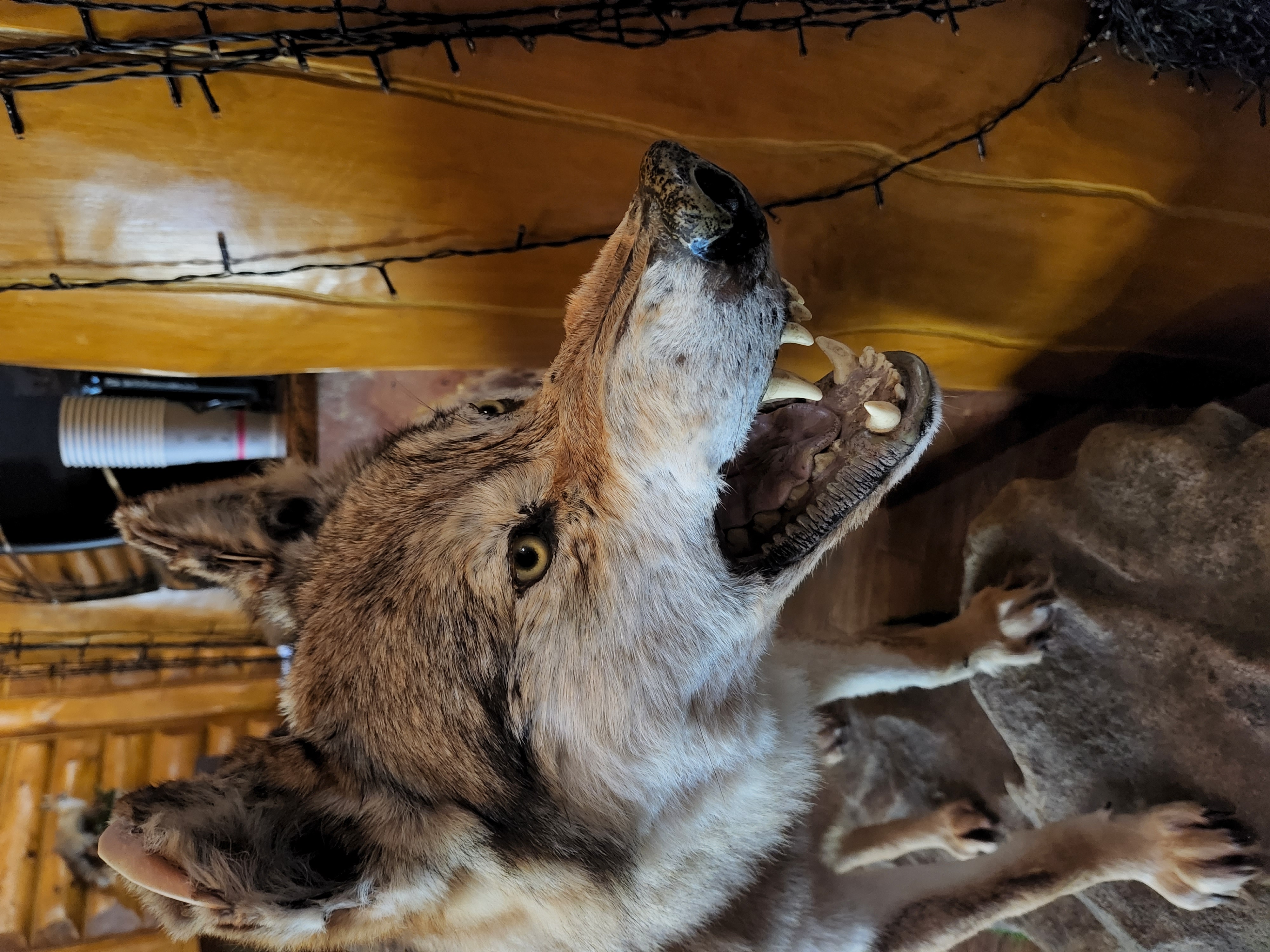 Фото Дом солнца