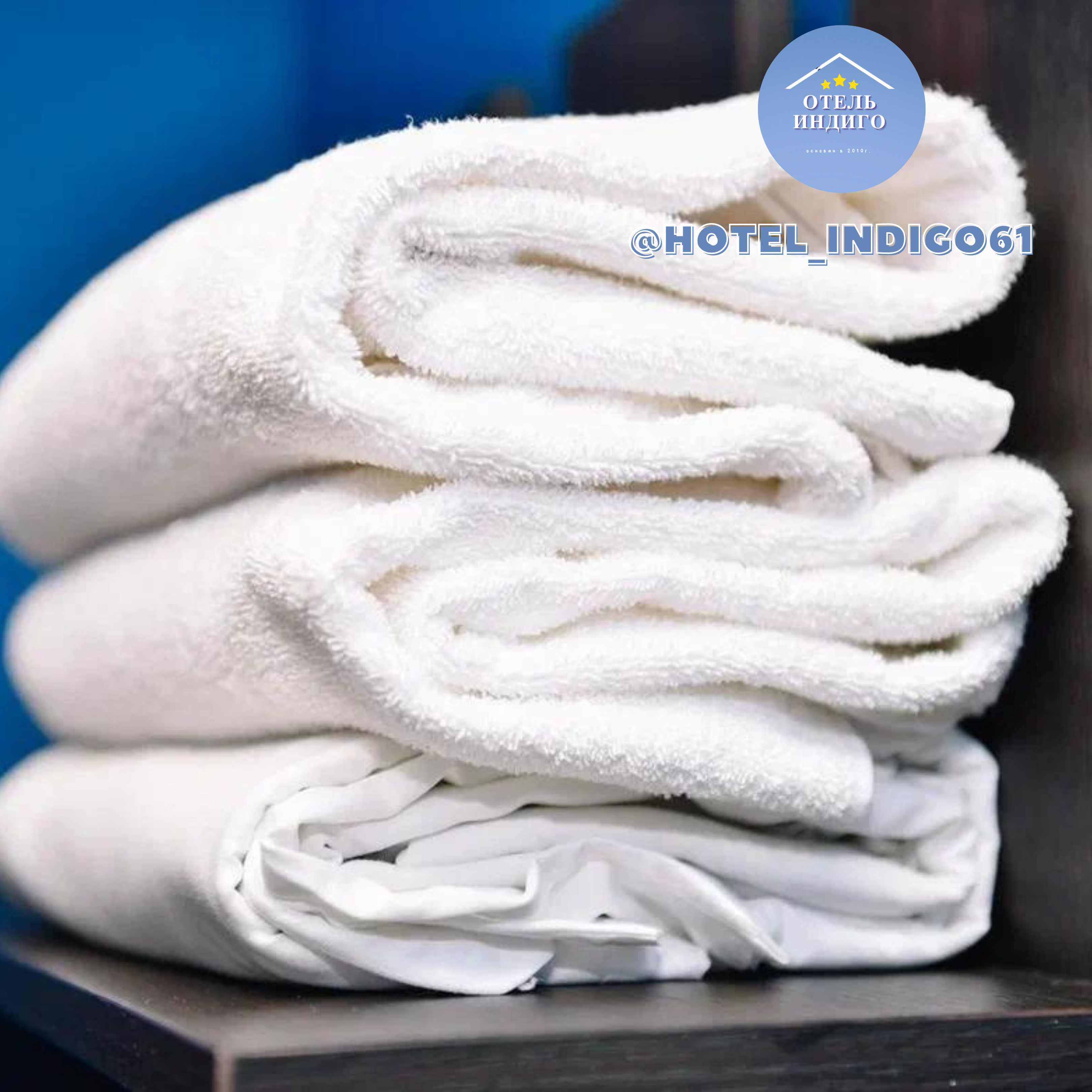 Фото Индиго