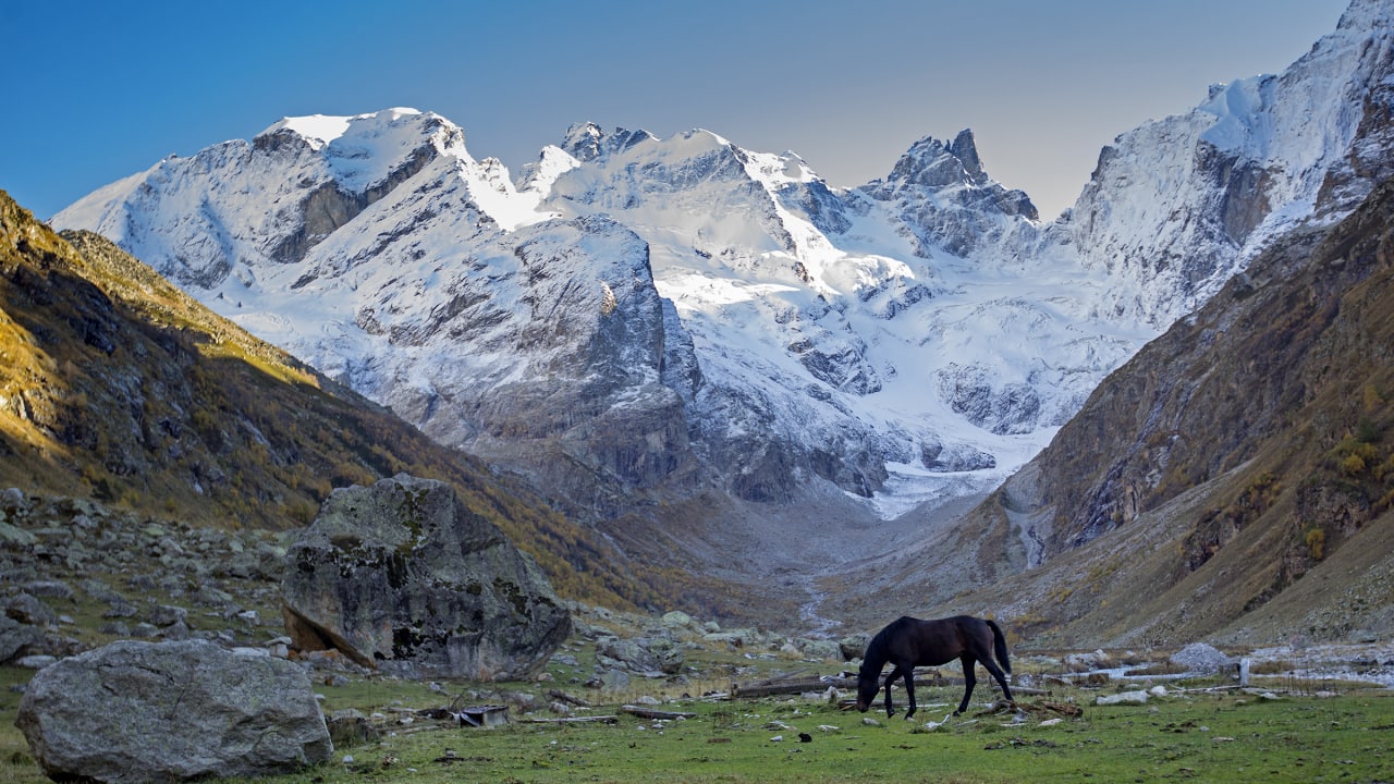 Фото Форест коттедж