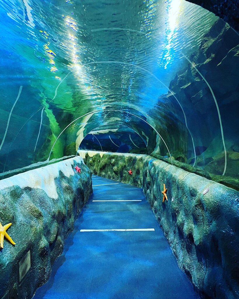 Oceanarium Oceanarium, Astana, photo