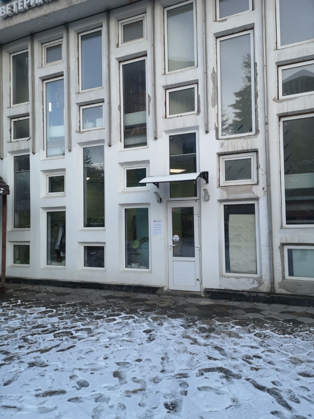 Ветмиссия - фото 13