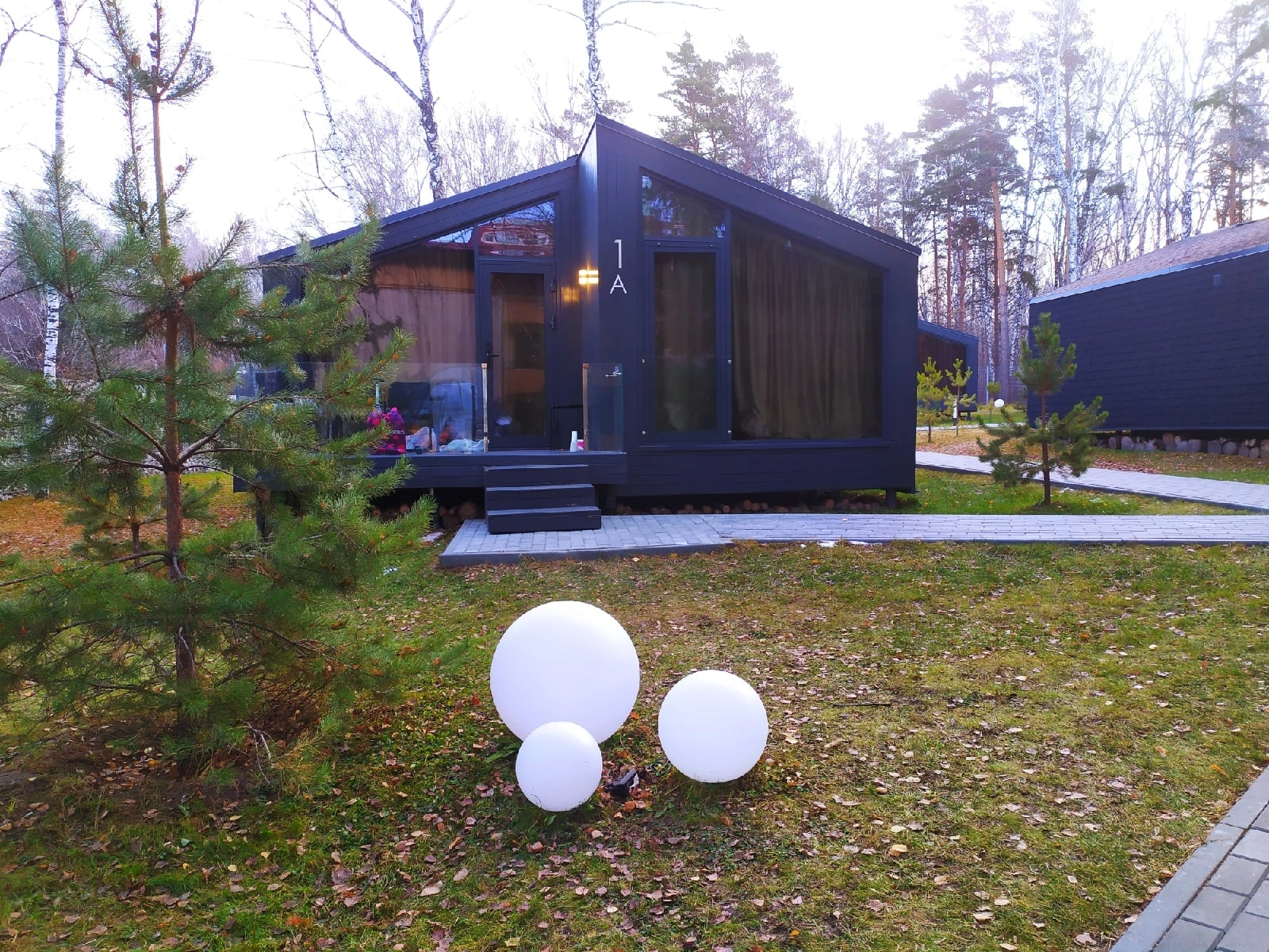 Фото Сосновый бор