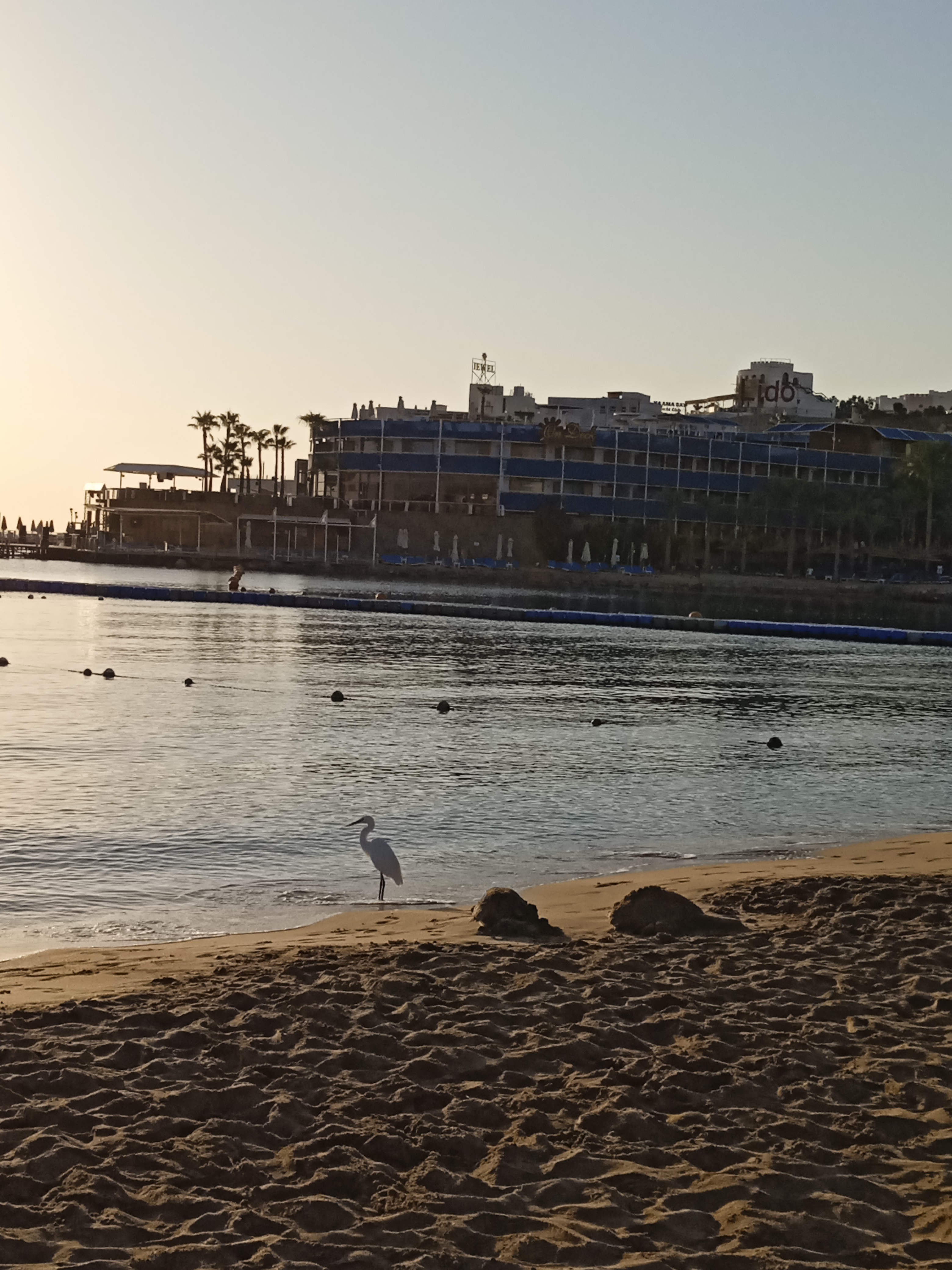 Фото Cataract Layalina Hotel