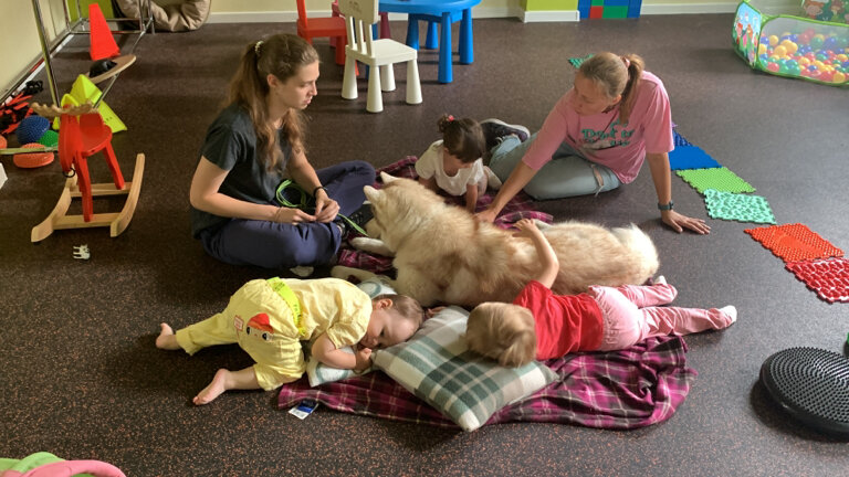 Zoo center Кинология для детей и взрослых - Растём с псом, Zelenograd, photo