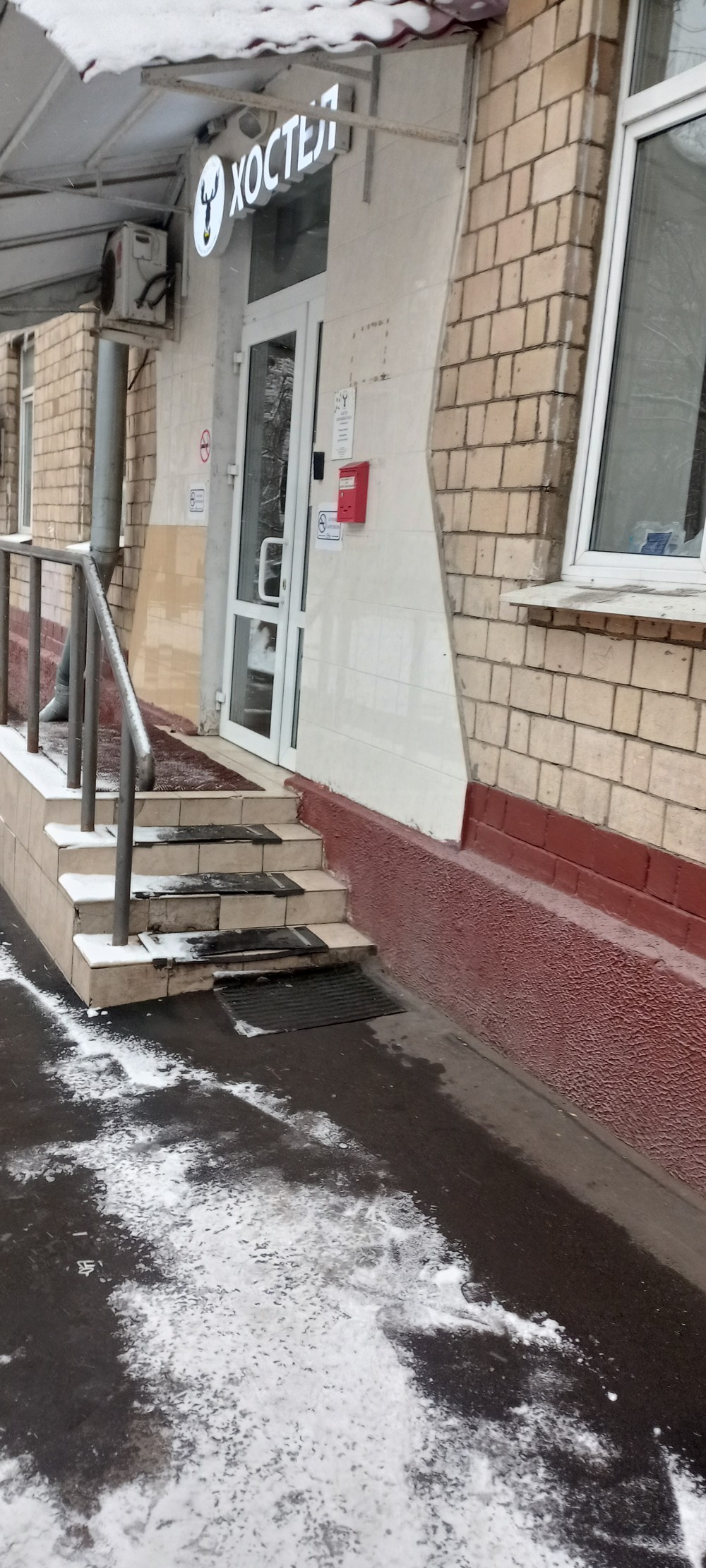 Фото Вежливый лось