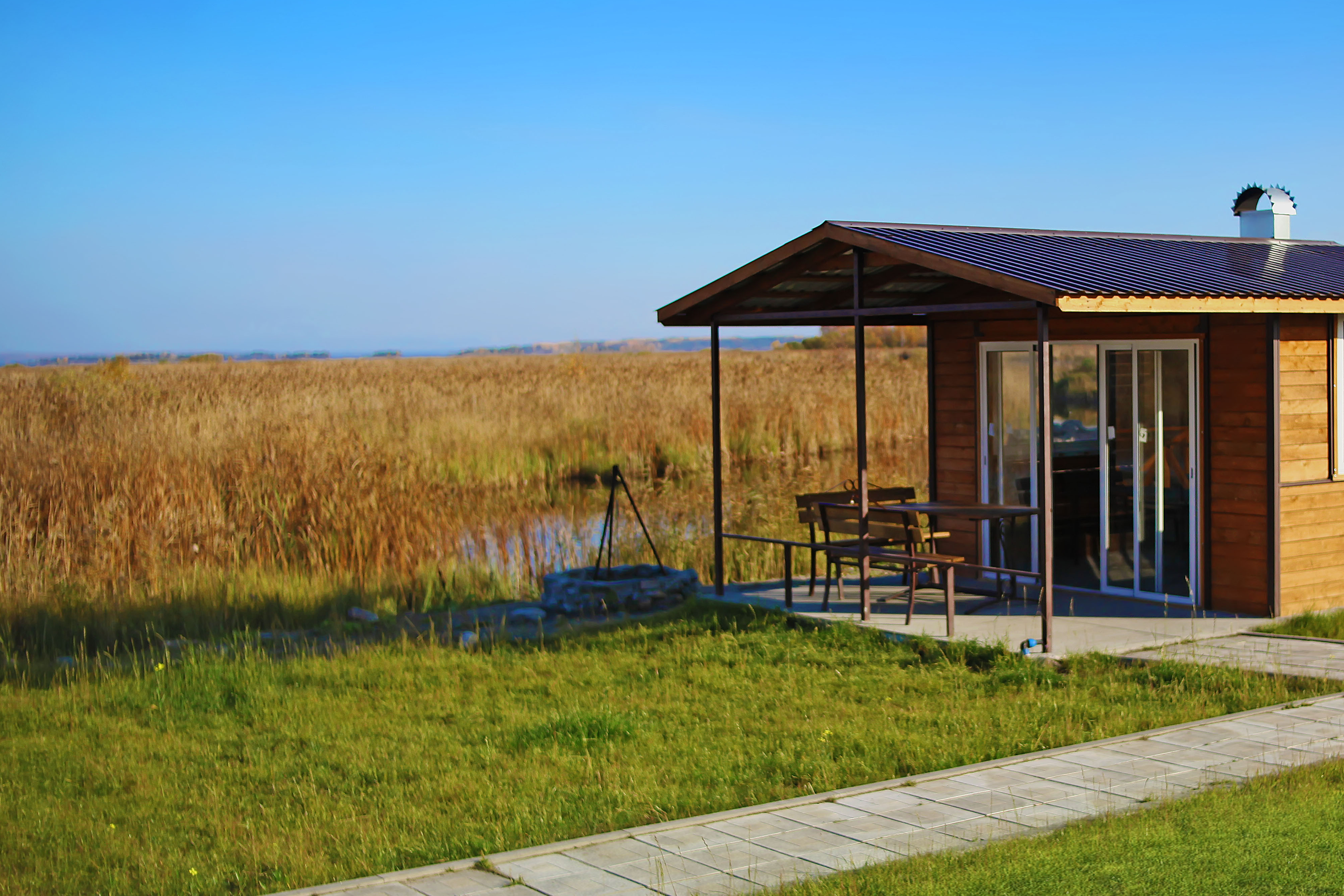 Фото Хитрый Лис