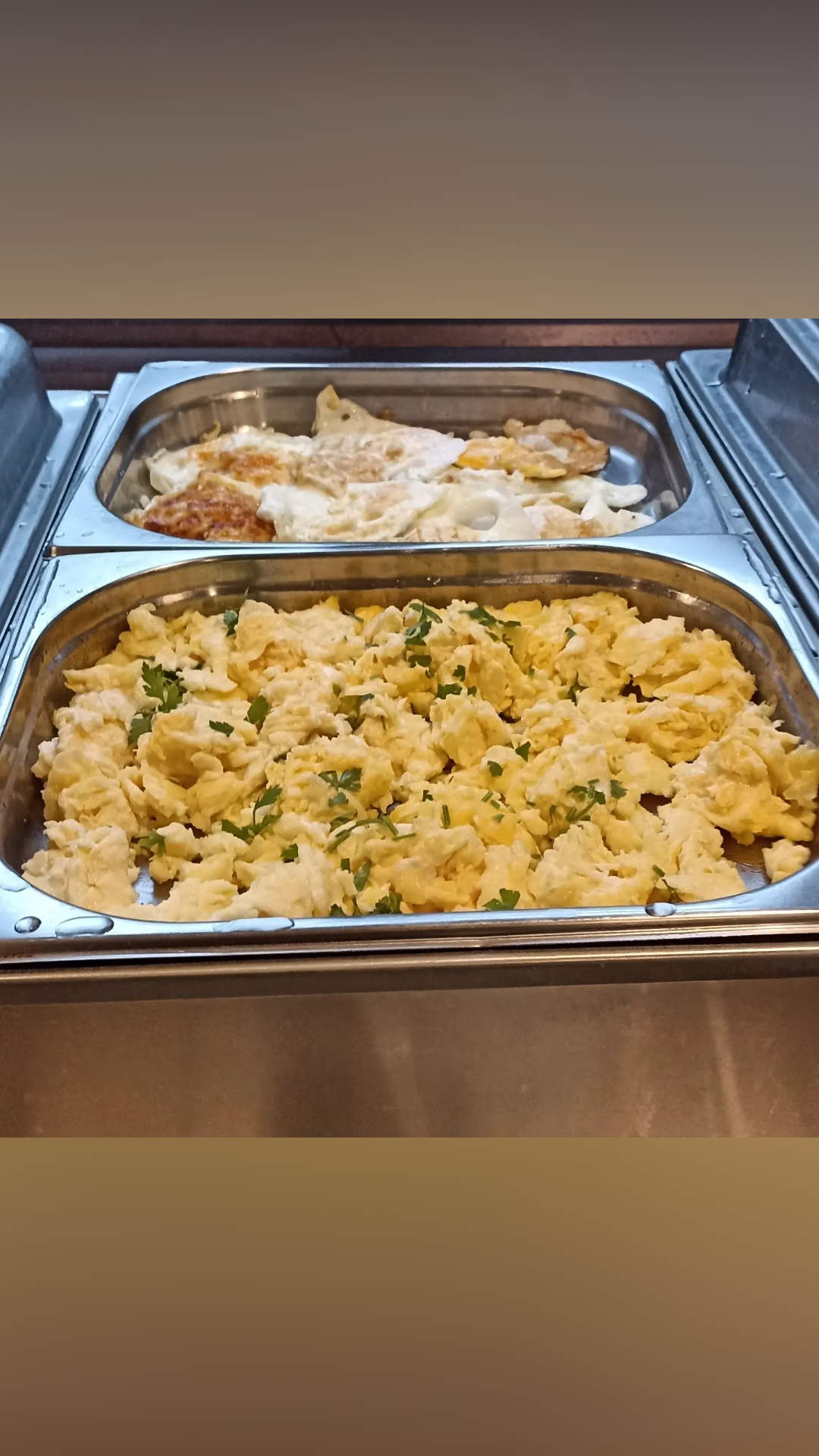 Фото Летучая мышь