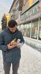 Добрый лес (Советская ул., 39, Екатеринбург), магазин продуктов в Екатеринбурге