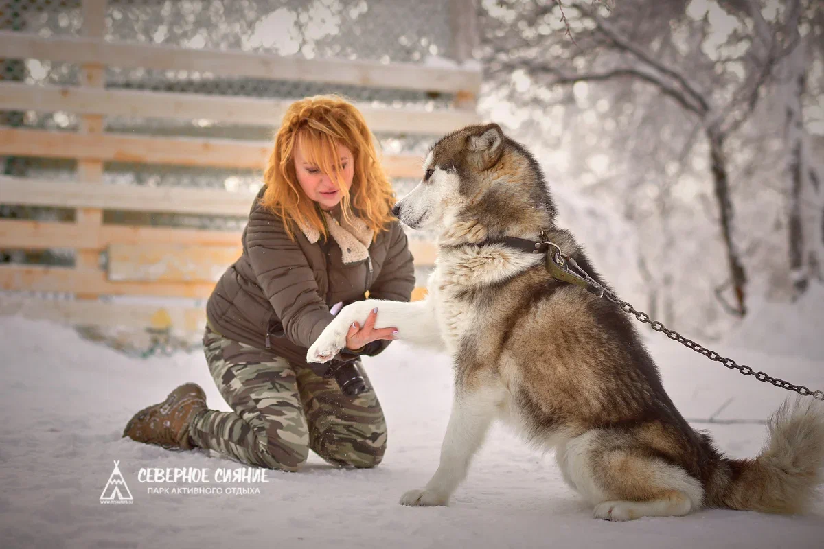Фото Северное сияние