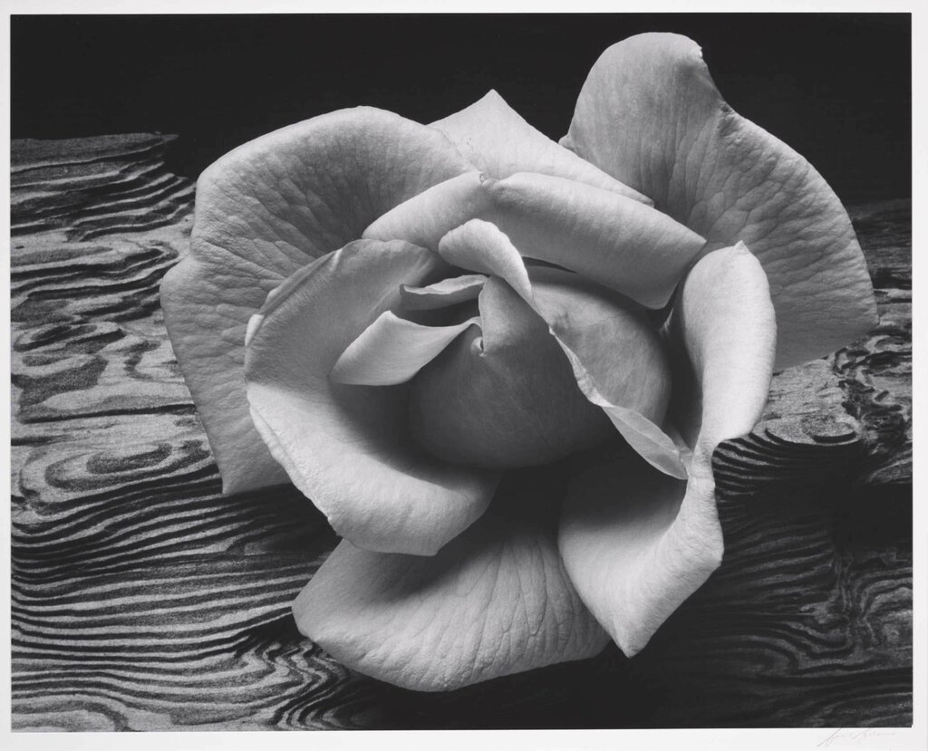 Web design studio Digitalvicc, Bobruisk, photo