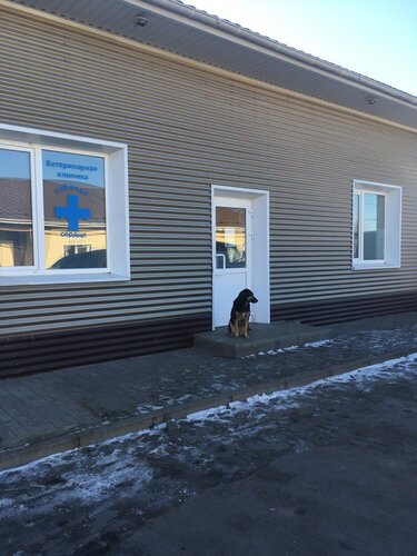 Veteriner klinikleri Собачье Сердце, Pavlovsk, foto