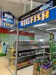 Big-Fish (I.V. Sviridova Street, 9), fishing gear and supplies
