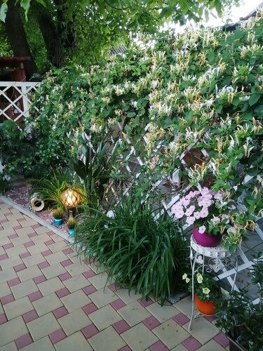 Апартаменты Уютный дом в Ейске