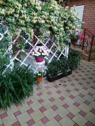 Апартаменты Уютный дом в Ейске