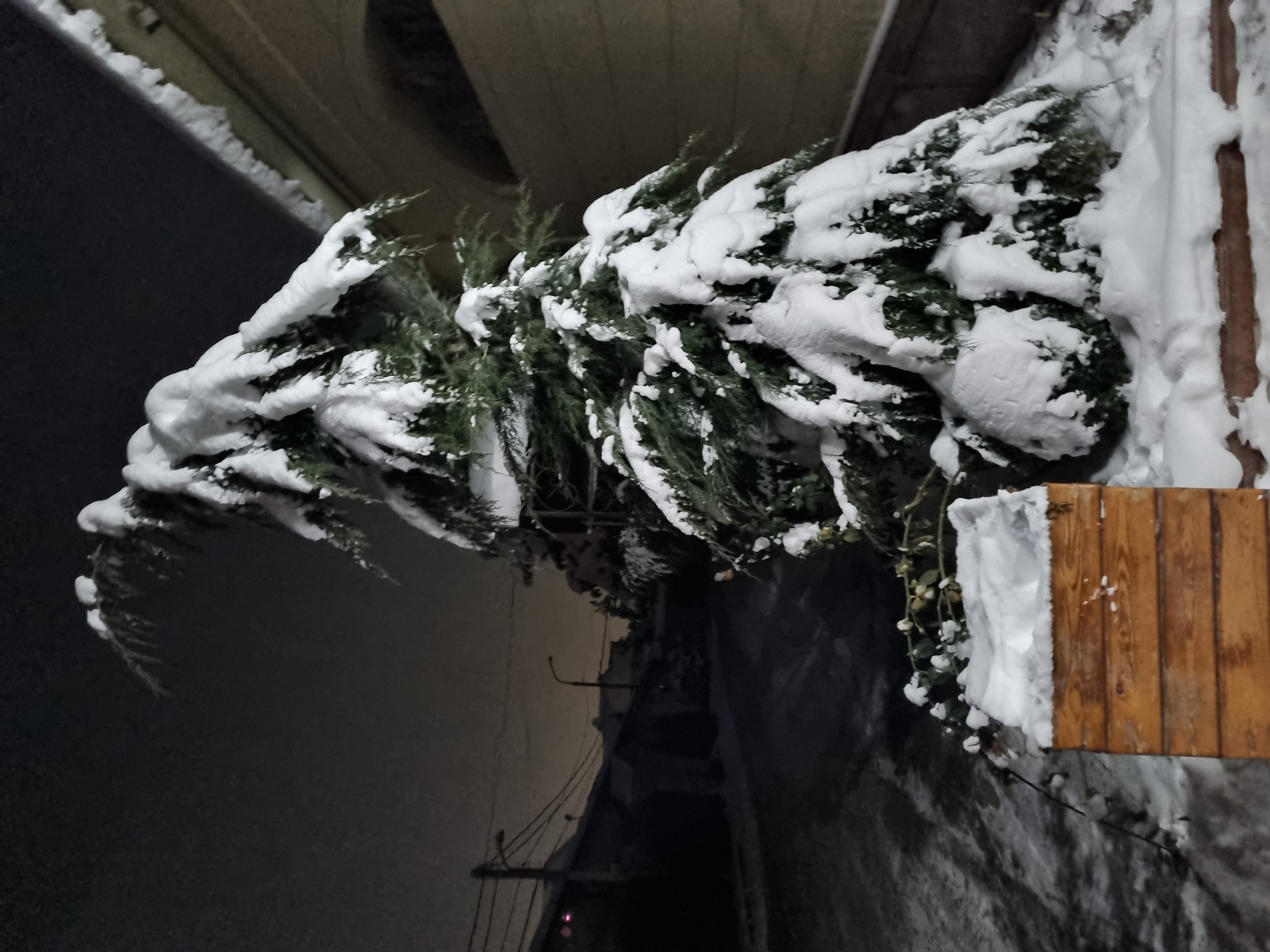 Фото Merci Hotel