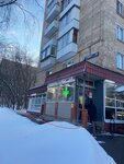 Flower And Toy Store (Nagornaya Street, 12к1), flower shop
