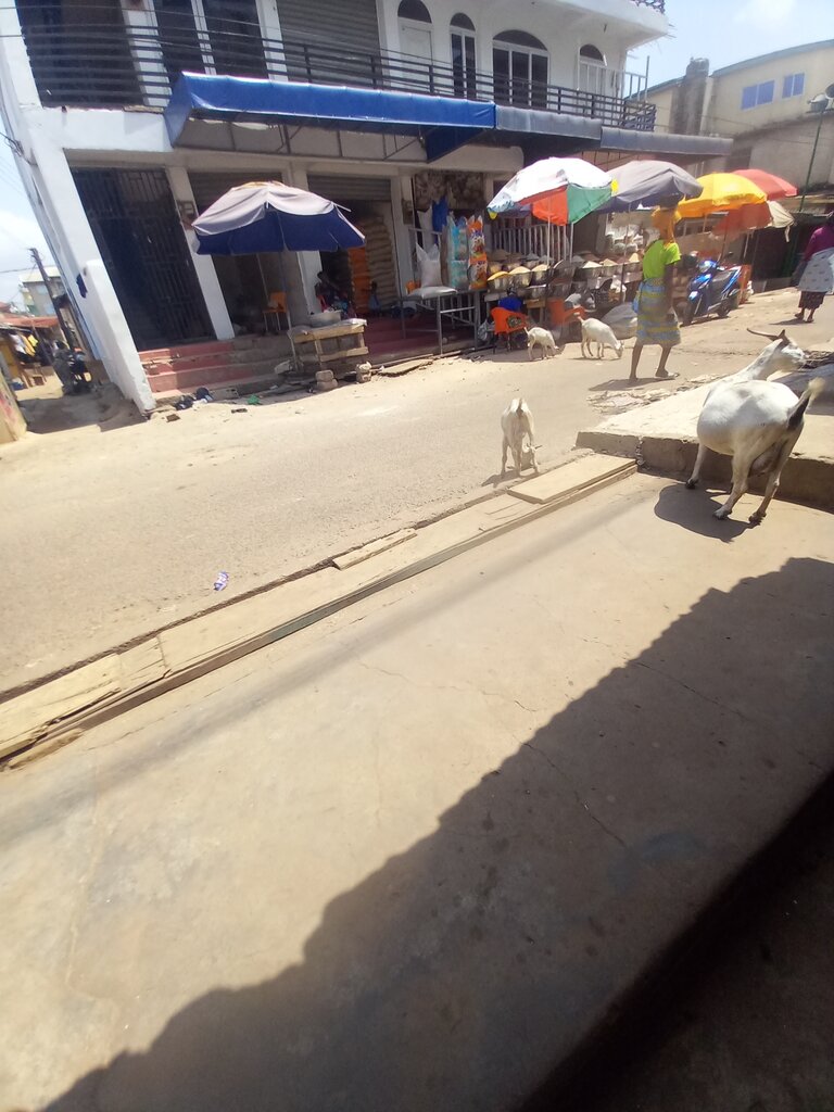 Food ingredients and spices Masha Grains, Accra, photo