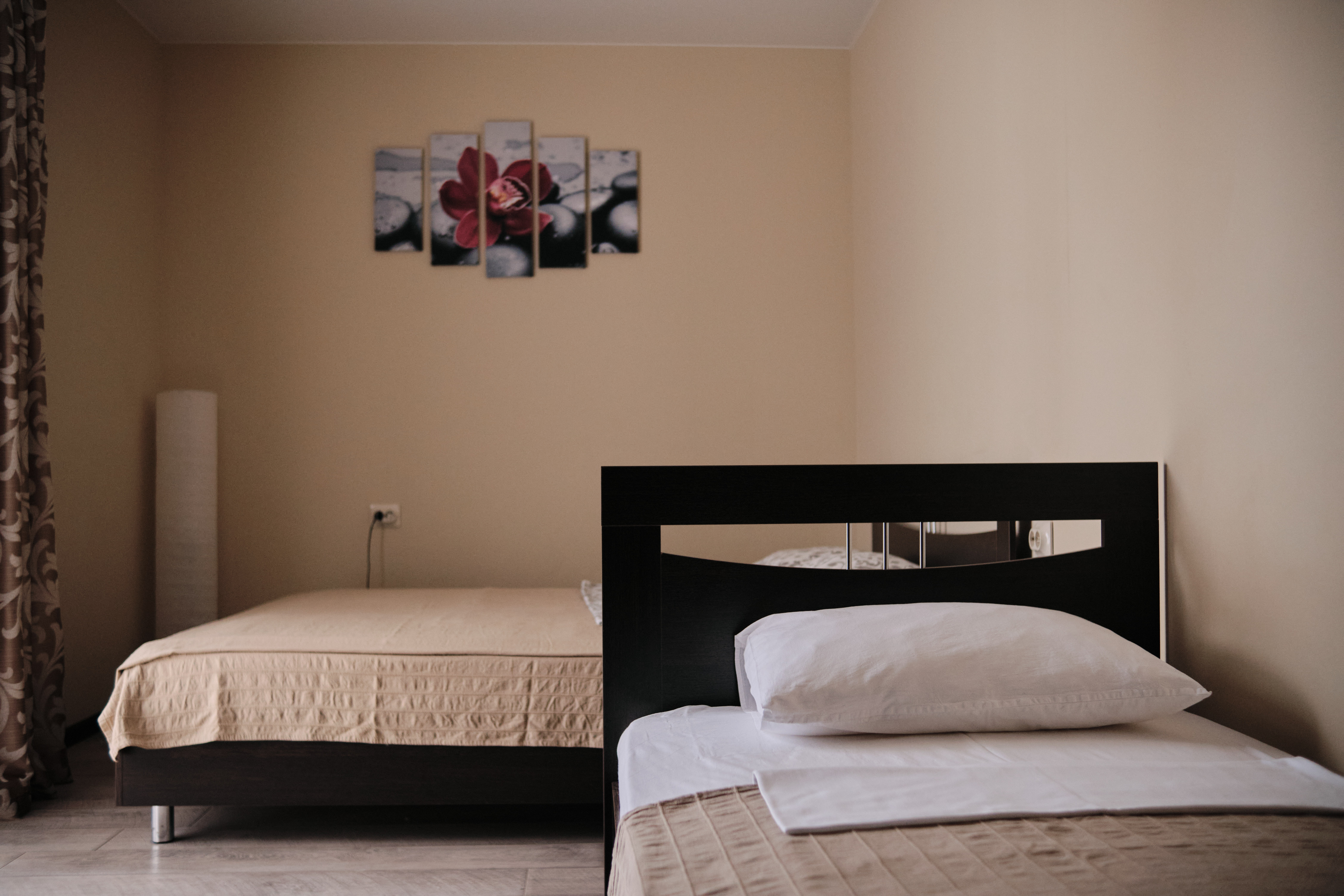 Фото Солнечная орхидея