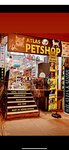 Atlas Petshop (İstanbul, Küçükçekmece, Muammer Aksoy Cad., 9C) ، متجر للحيوانات الأليفة