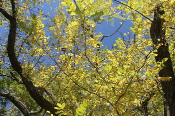 Фото Le Cisterne dell'Etna