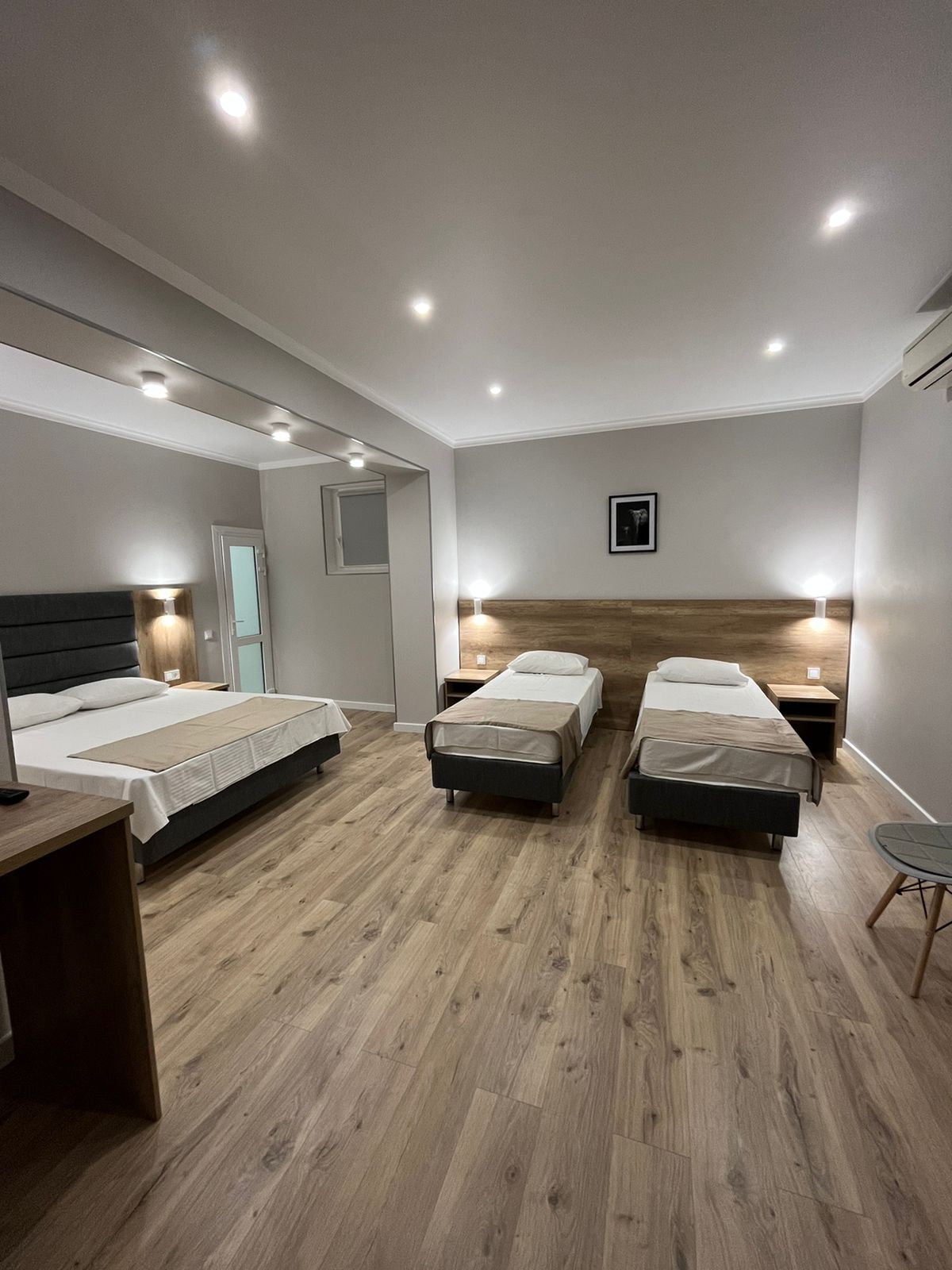 Фото Альбатрос