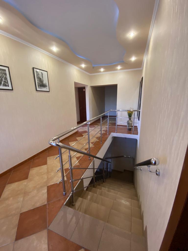 Фото Багира