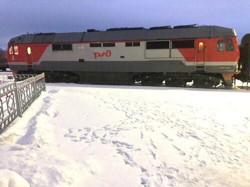 Әйелім екеуміз оны есекке салып көрдік.