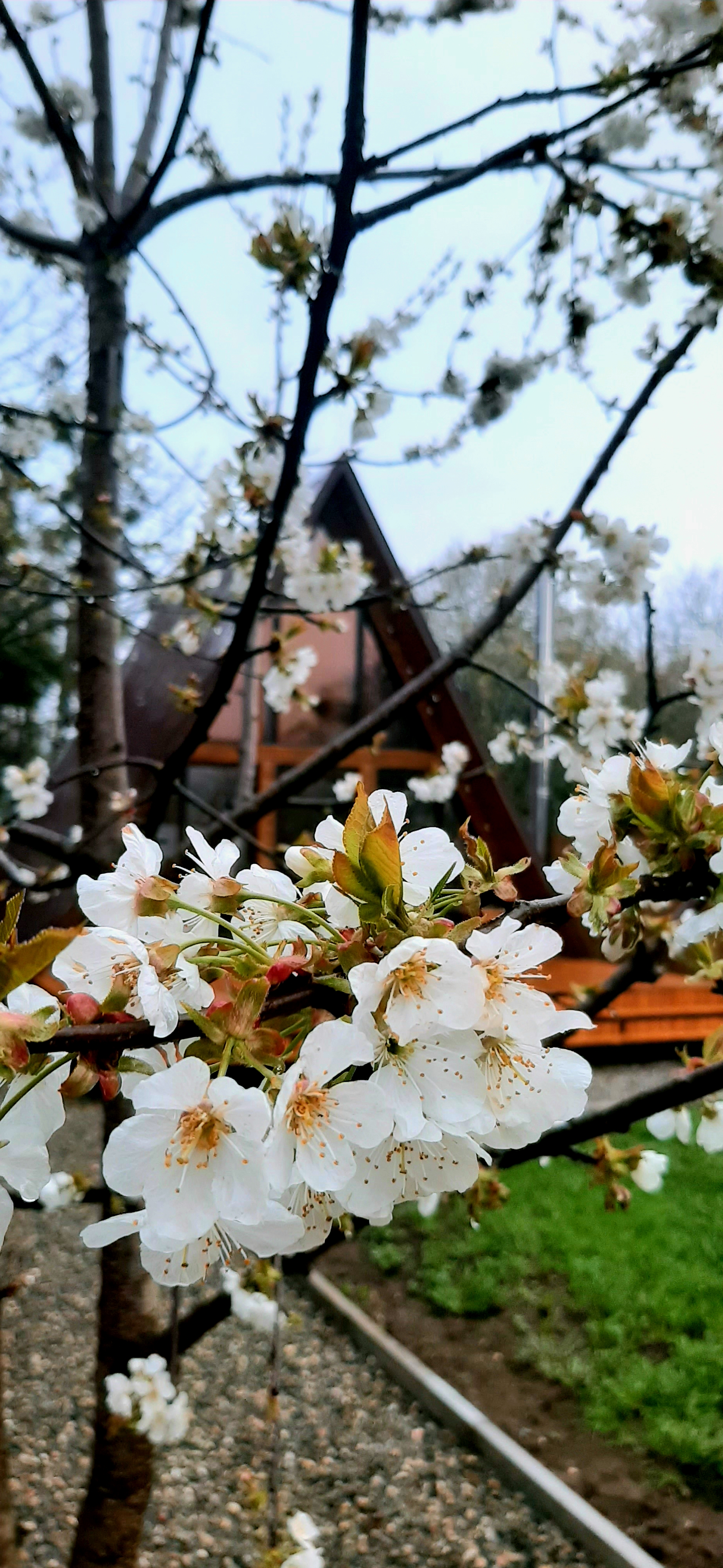 Фото Alpen House 01