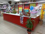 Цветочная база 24 (Ореховый бул., 7, корп. 1, стр. 2, Москва), магазин подарков и сувениров в Москве