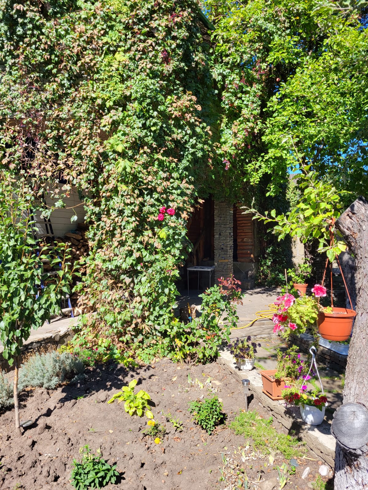 Фото Сказка