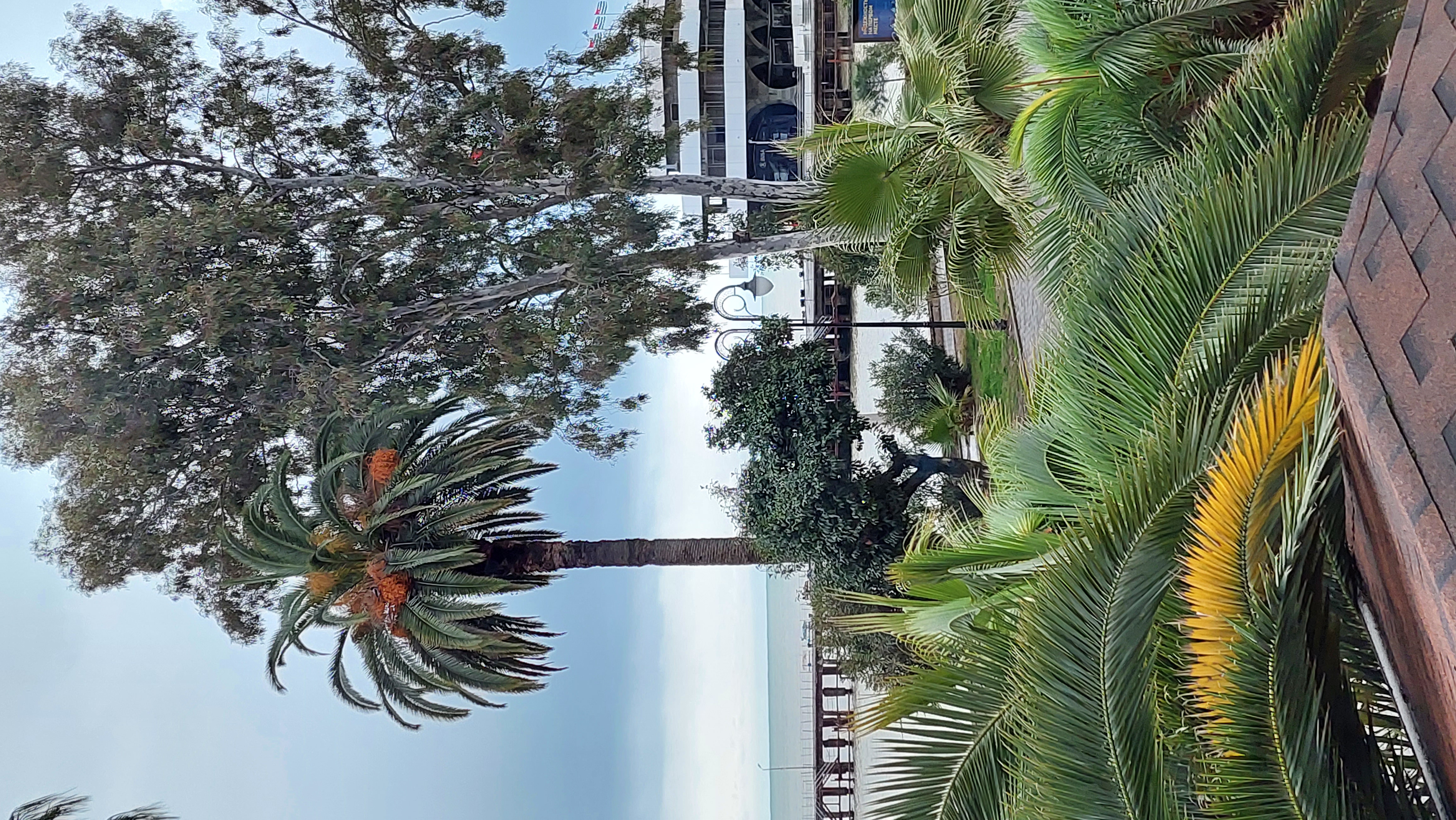 Фото Сухум Сити Мини Хотел