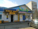 Шмель (vulica Barysa Carykava, 1А) ، متجر بيع البيرة