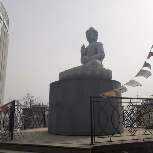 Жалаңаш письки бар жас балапандар