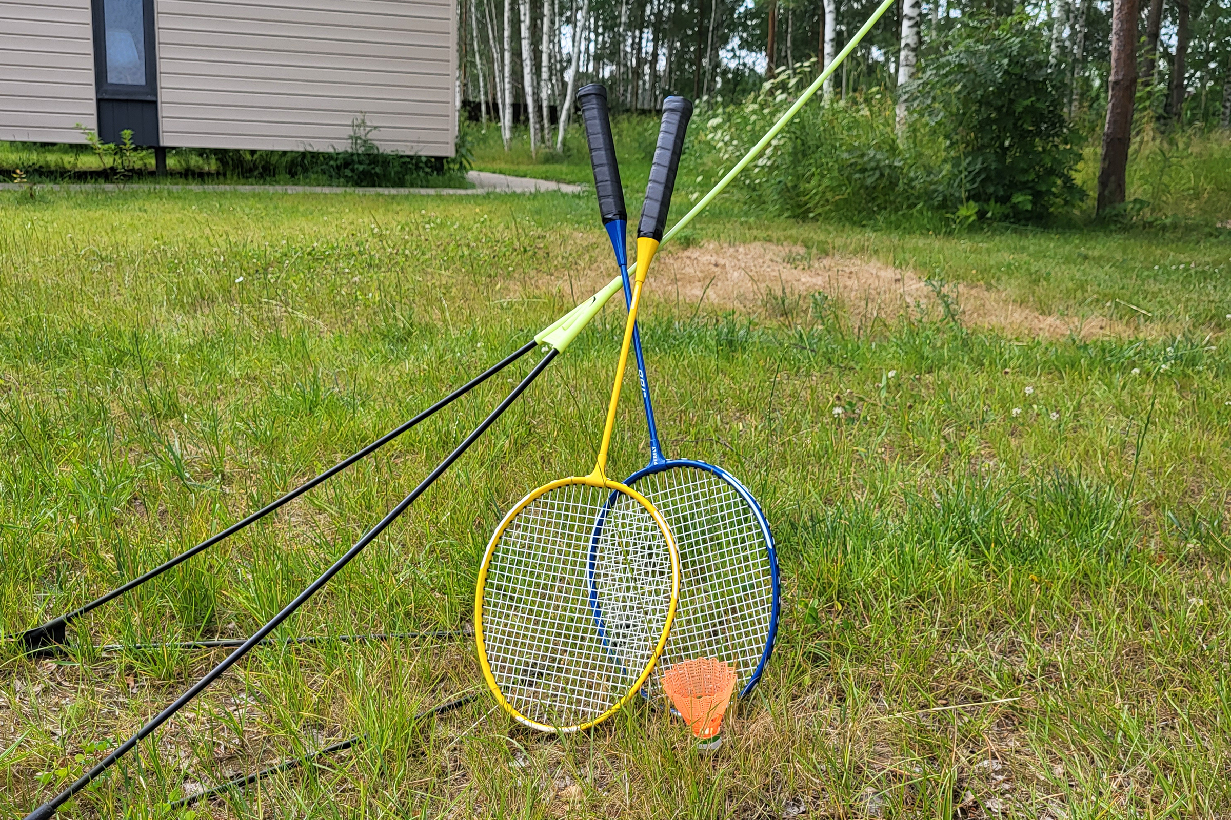 Фото Земляничная поляна