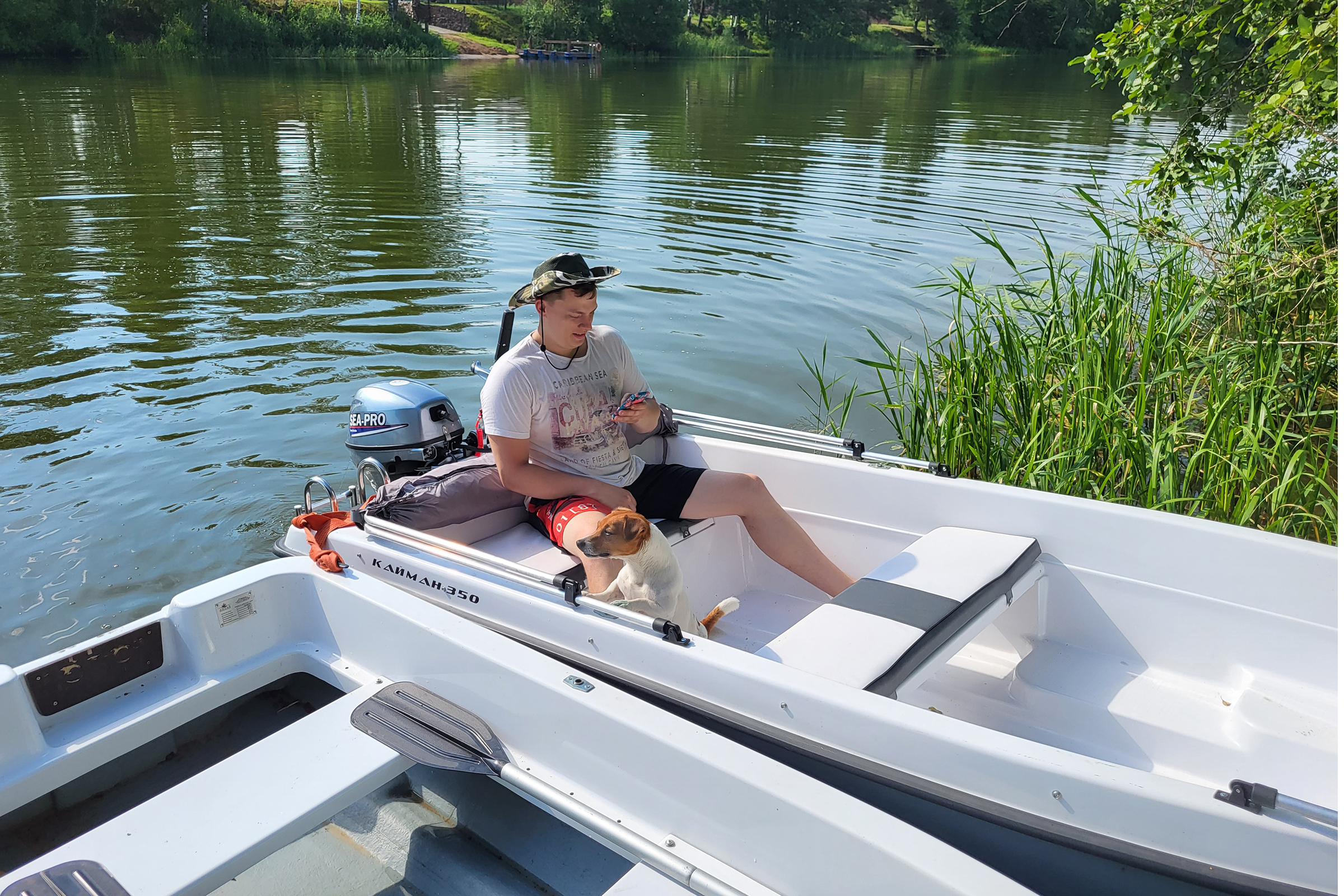 Фото Земляничная поляна