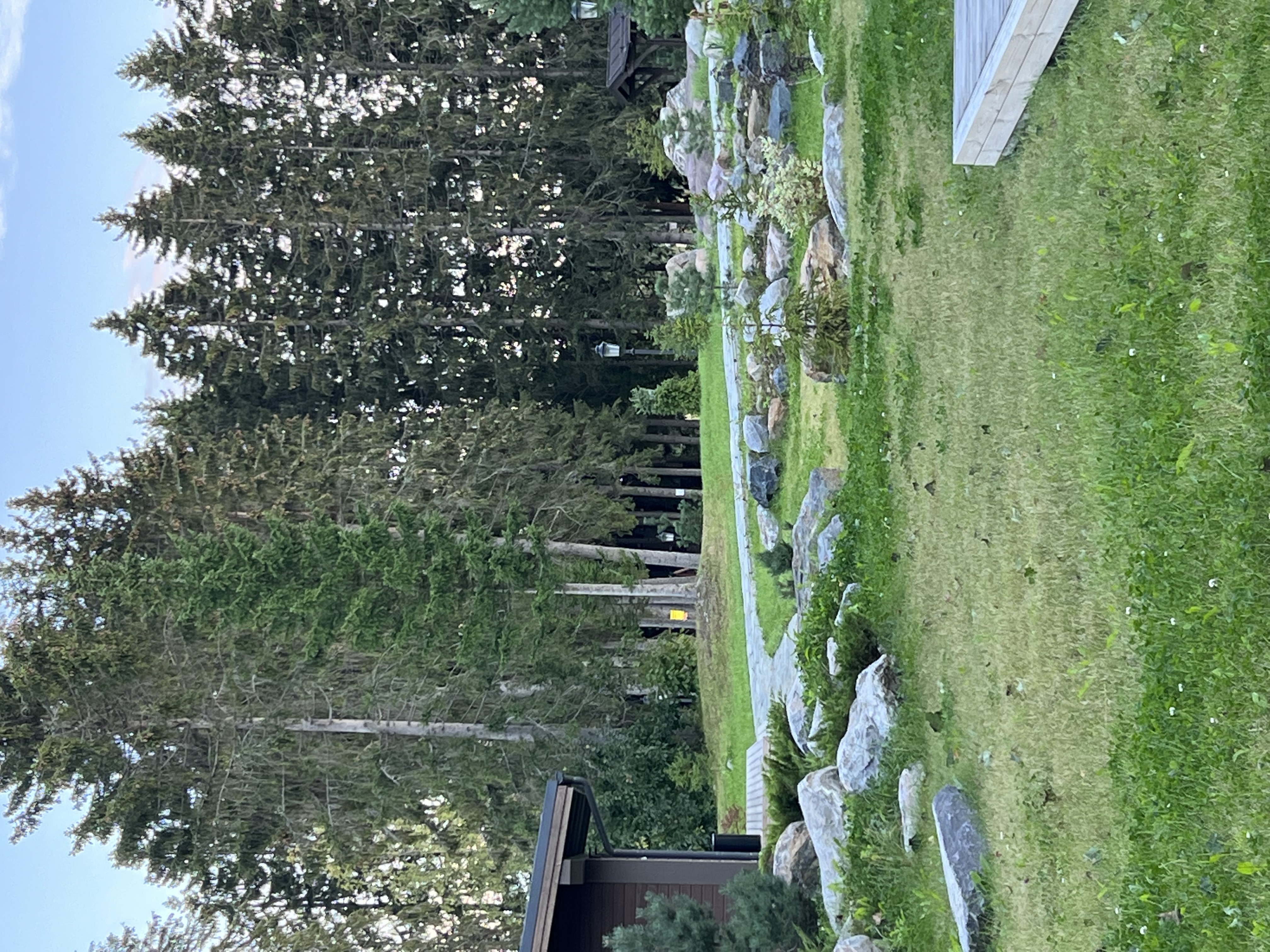 Фото Кружево