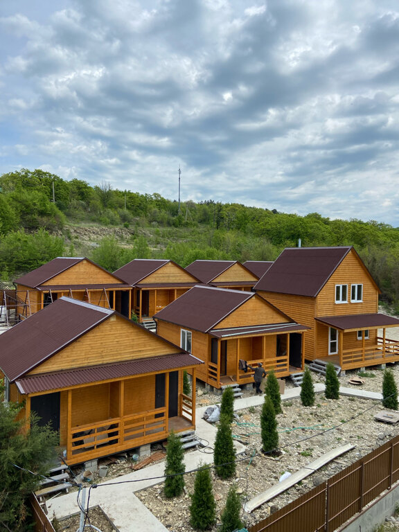 Фото Дельфин