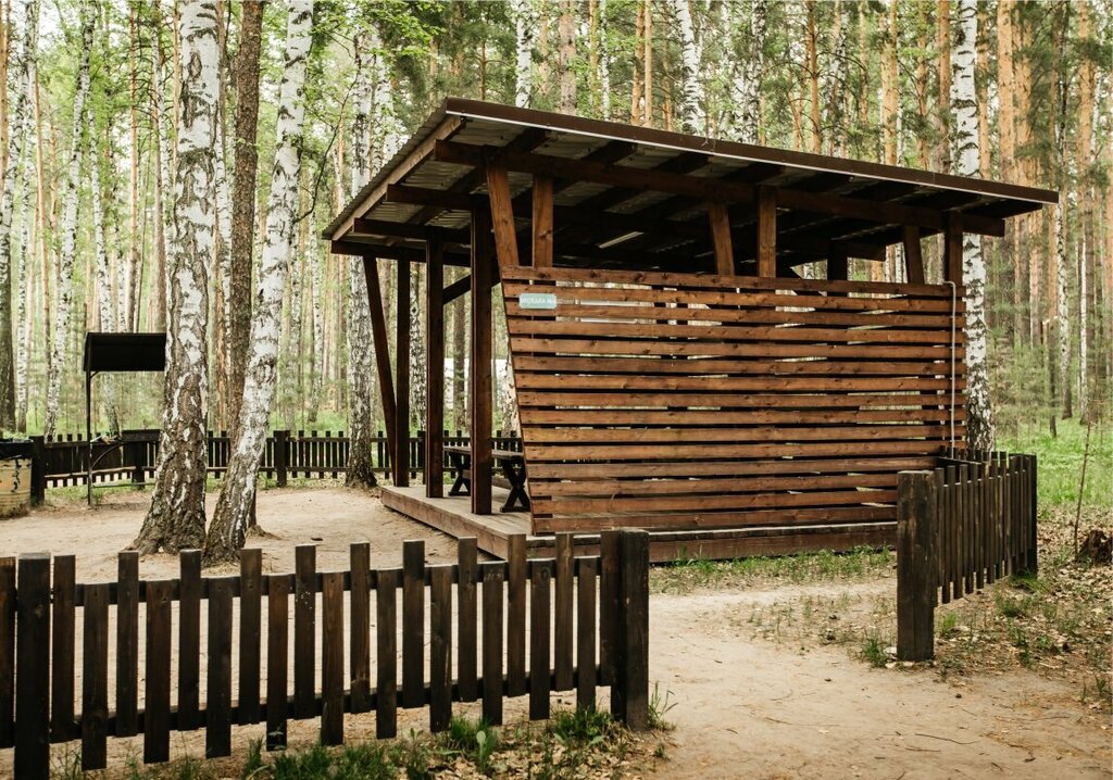 Чкаловские дачи новосибирск база отдыха фото