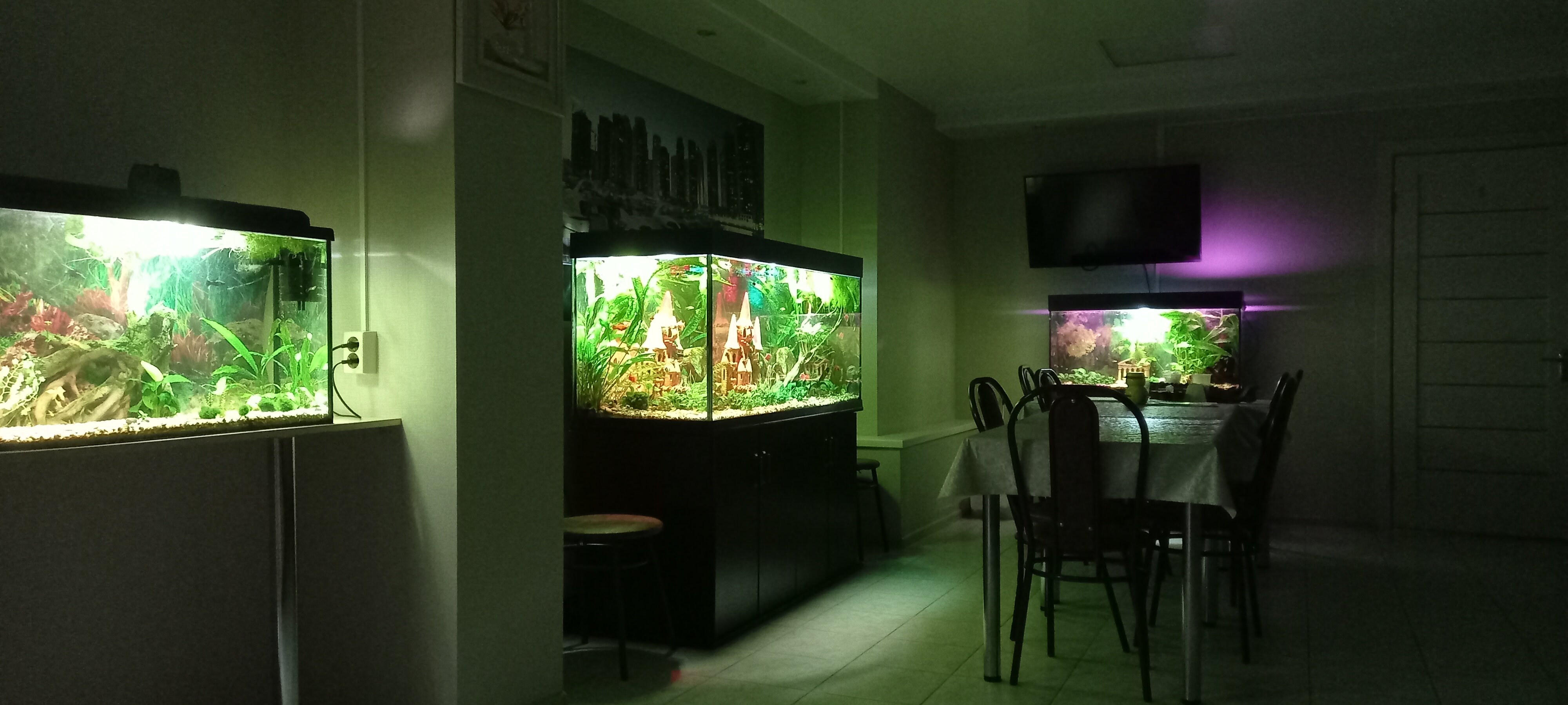 Фото Мини-гостиница на Ветеранов Октября 20