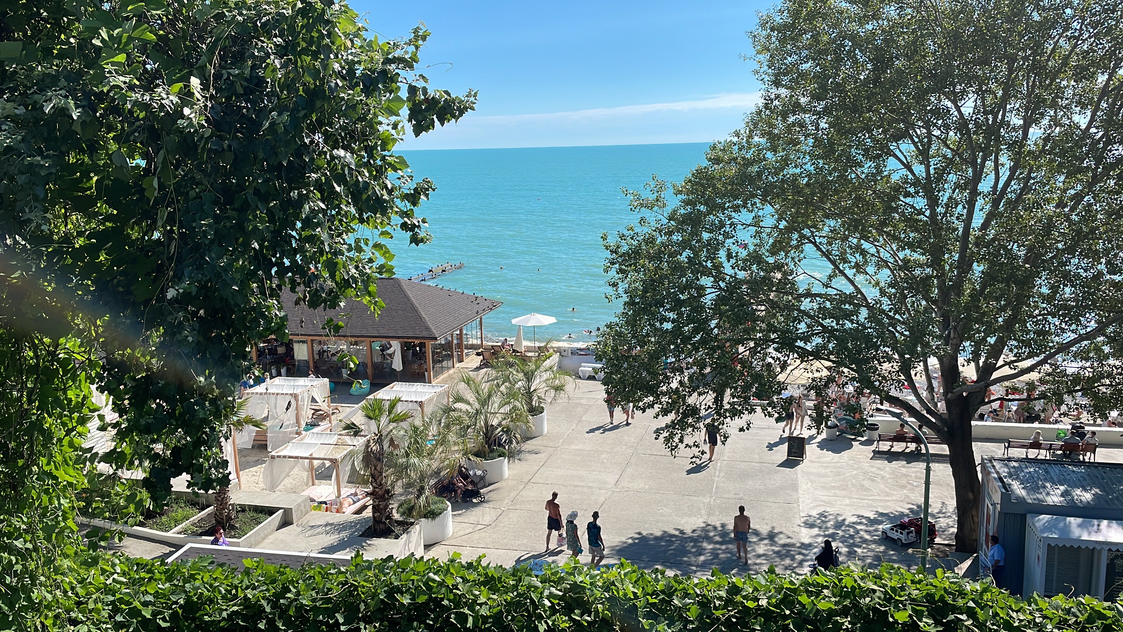 Фото Соната