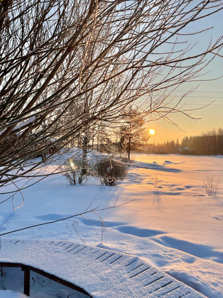 Фото Эко клуб Остров Суойа