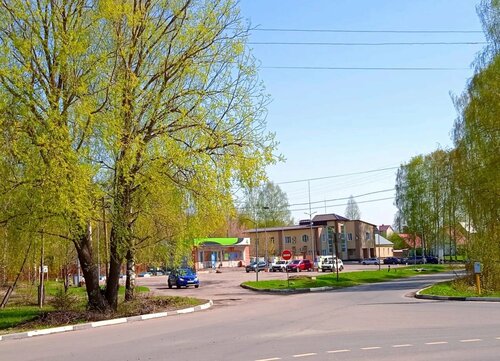 Gas station TD, Puchezh, photo
