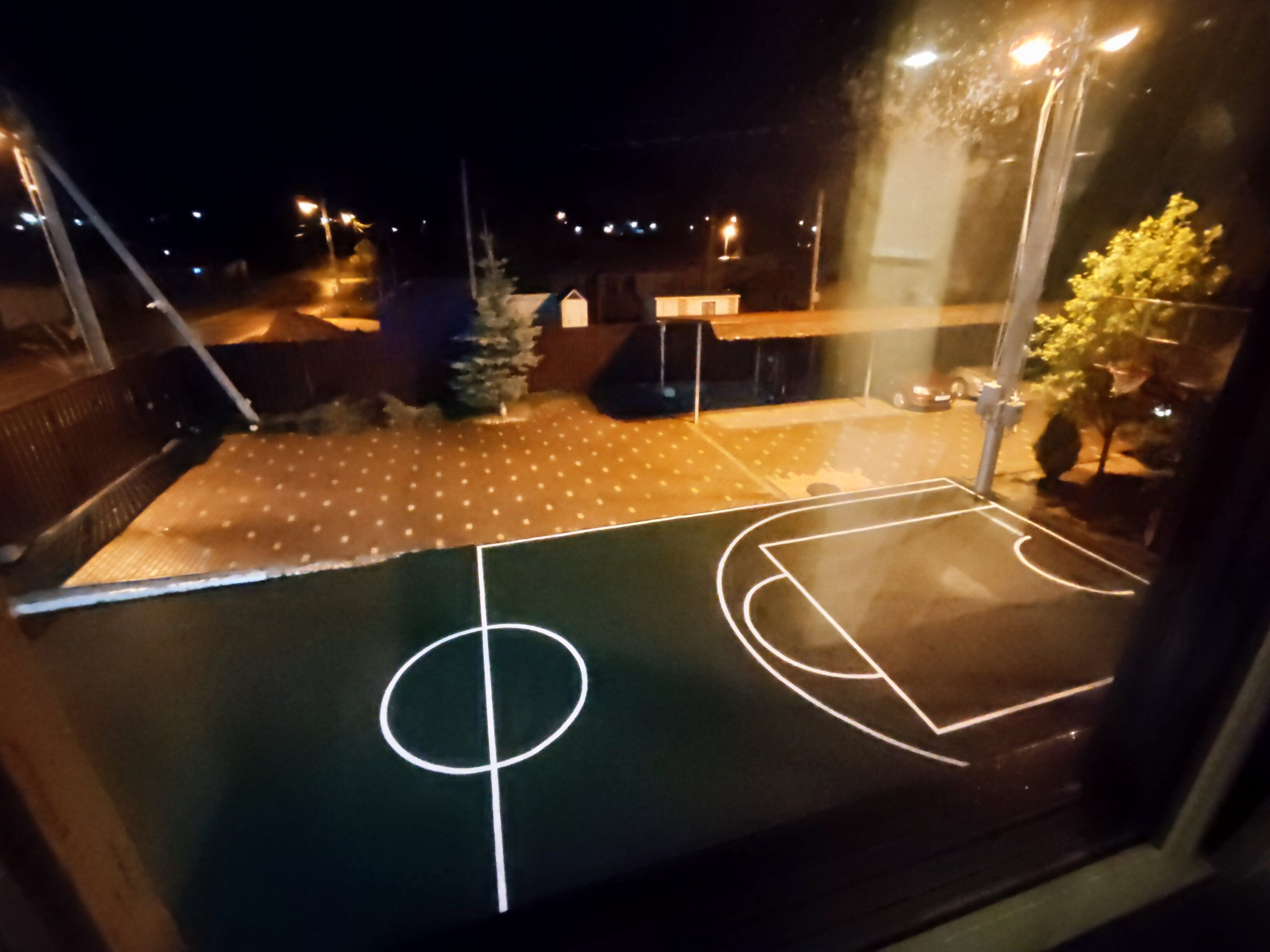 Фото Тополя