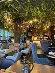 L. E. S. (L. Tolstogo Street, 1), restaurant