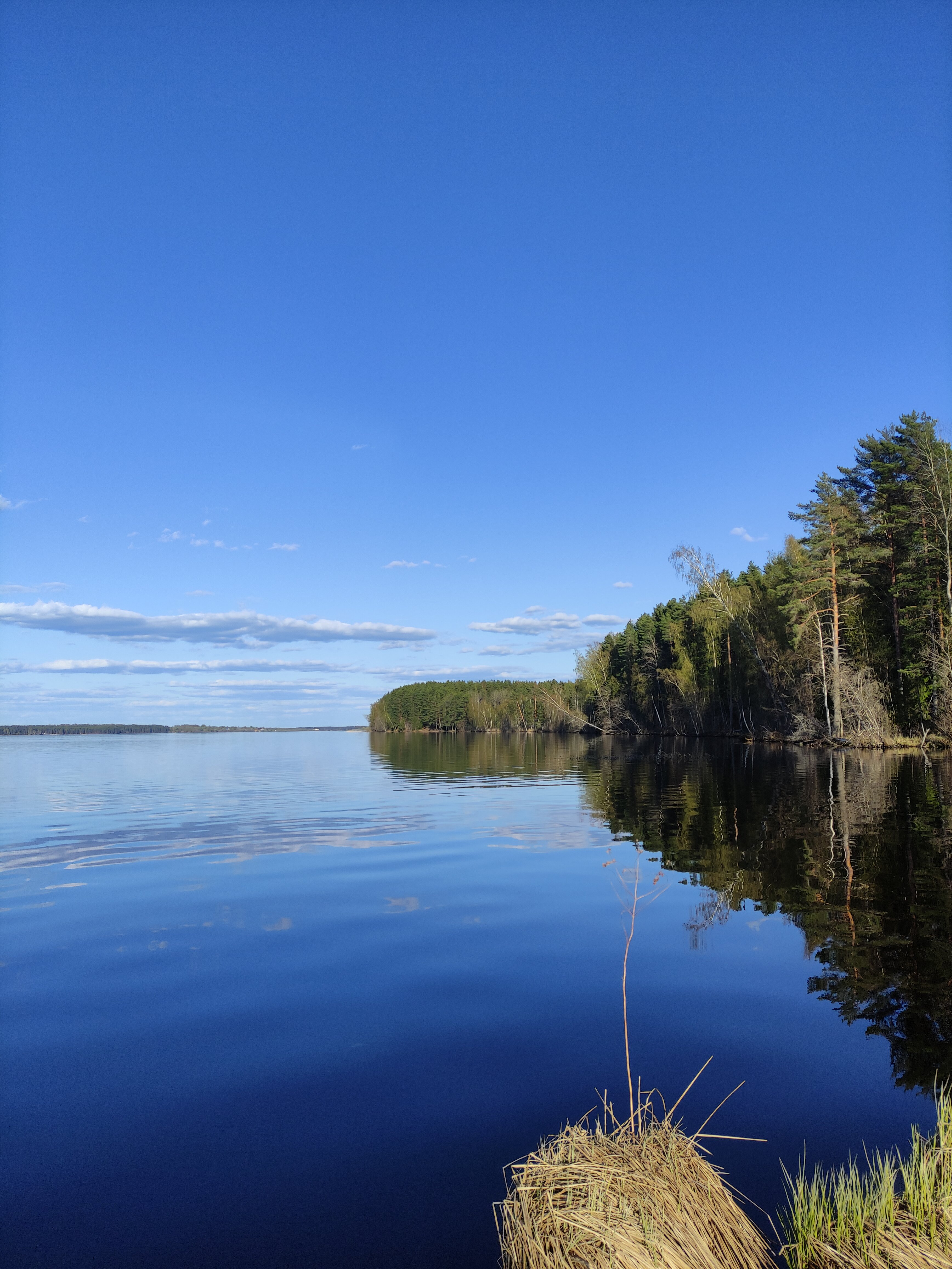 Фото Вилла Бор Волго