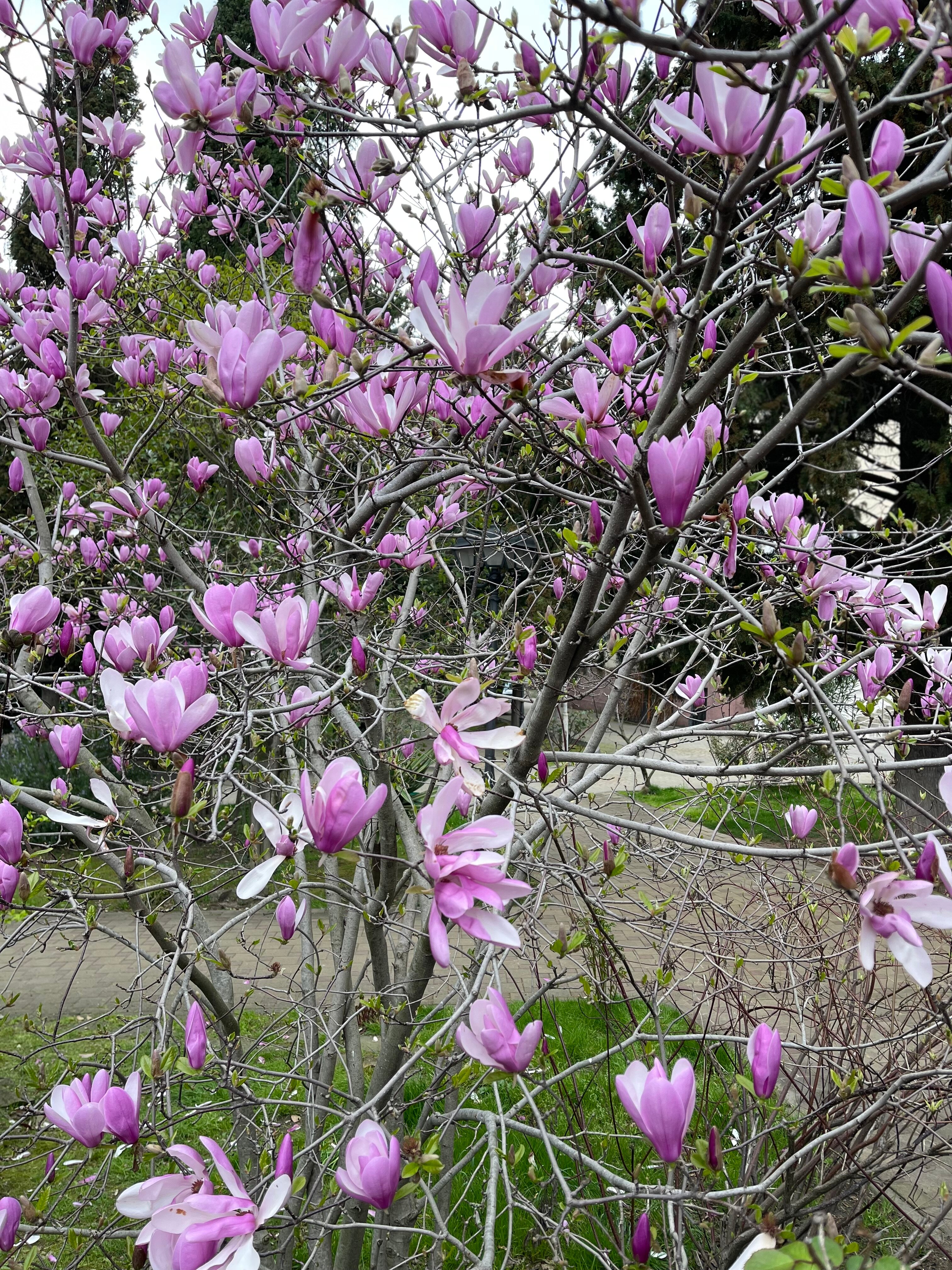 Фото В гостях у Марика