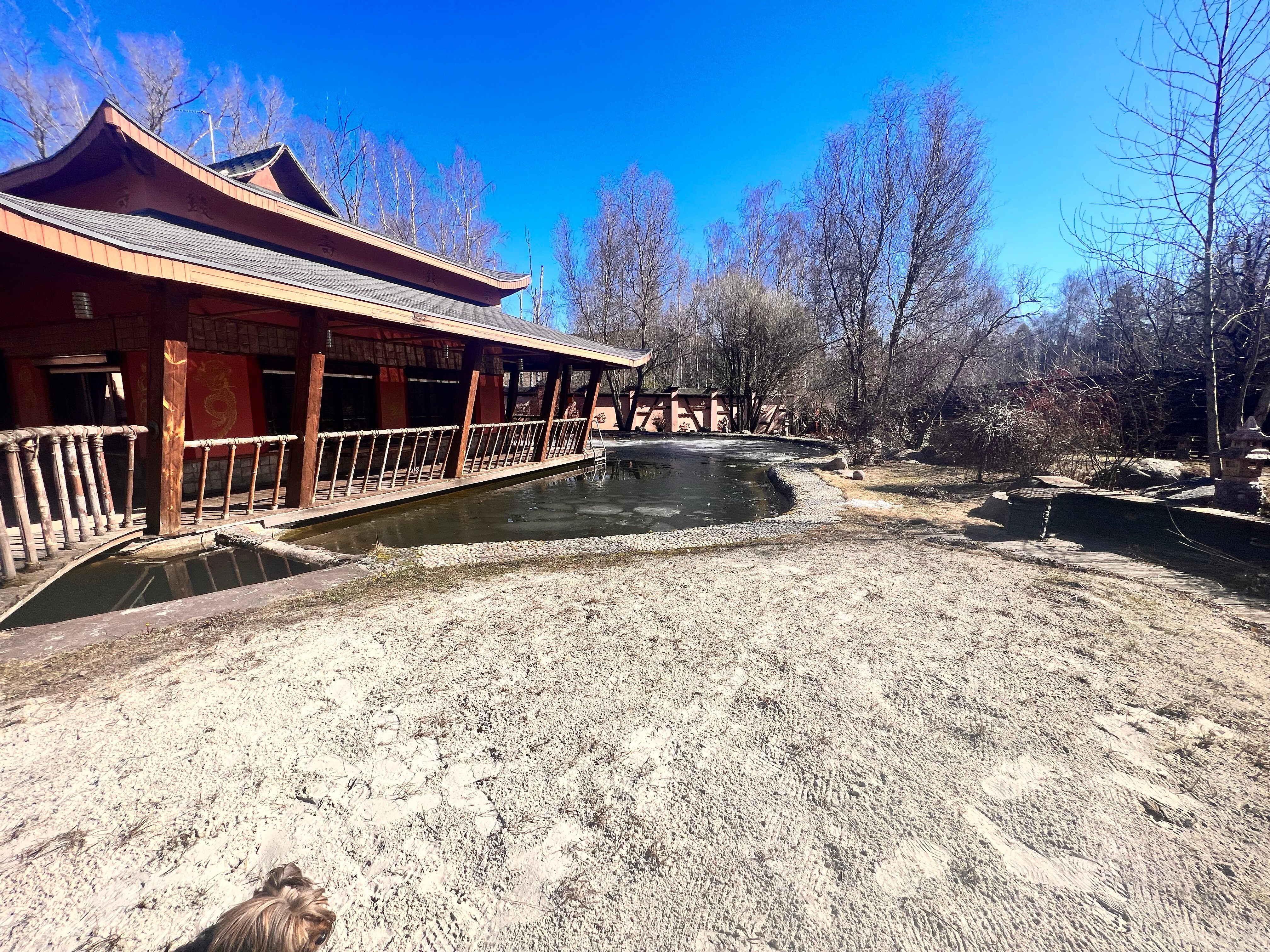 Фото Чайна Таун