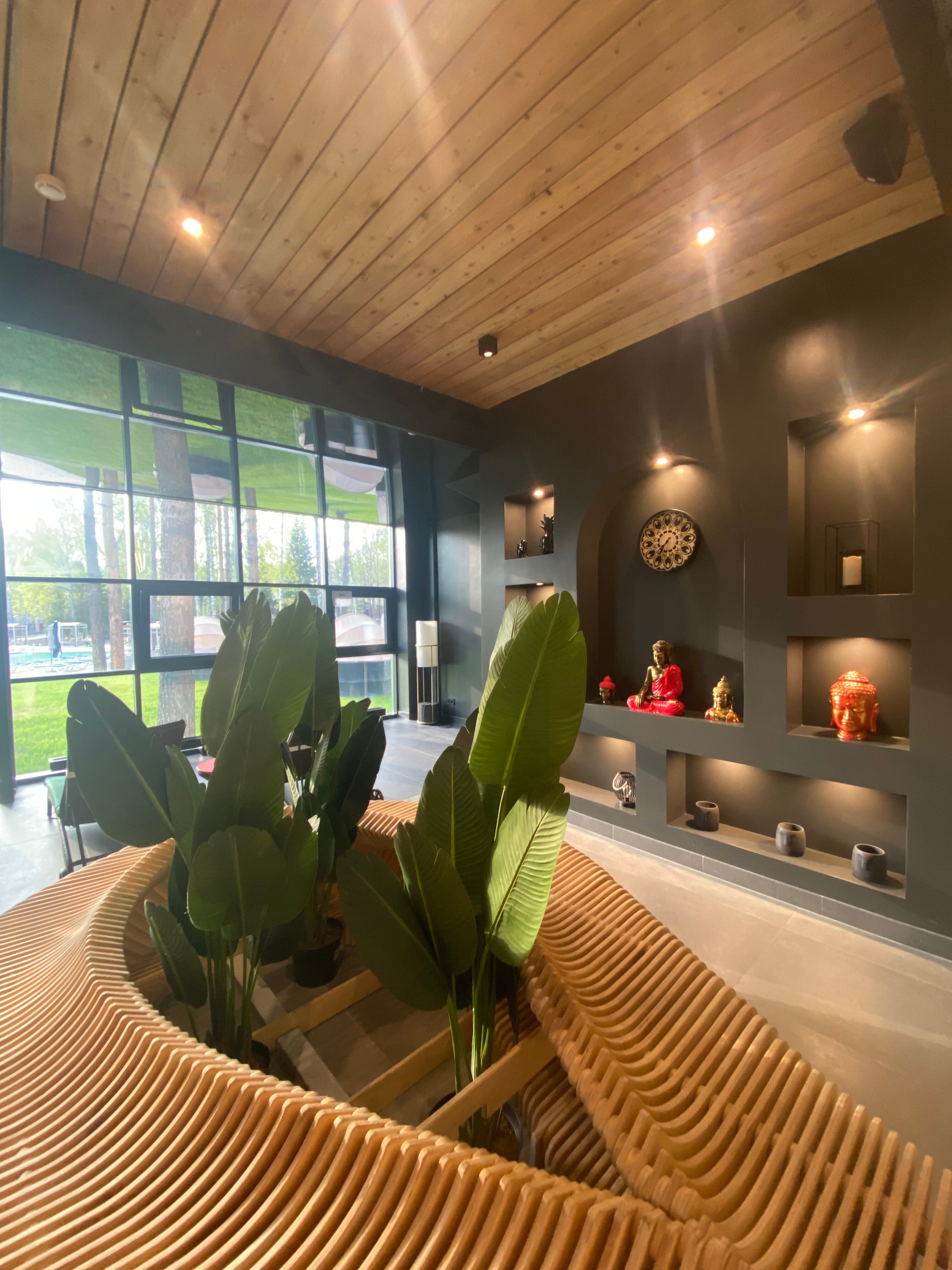 Фото Поляна Verde